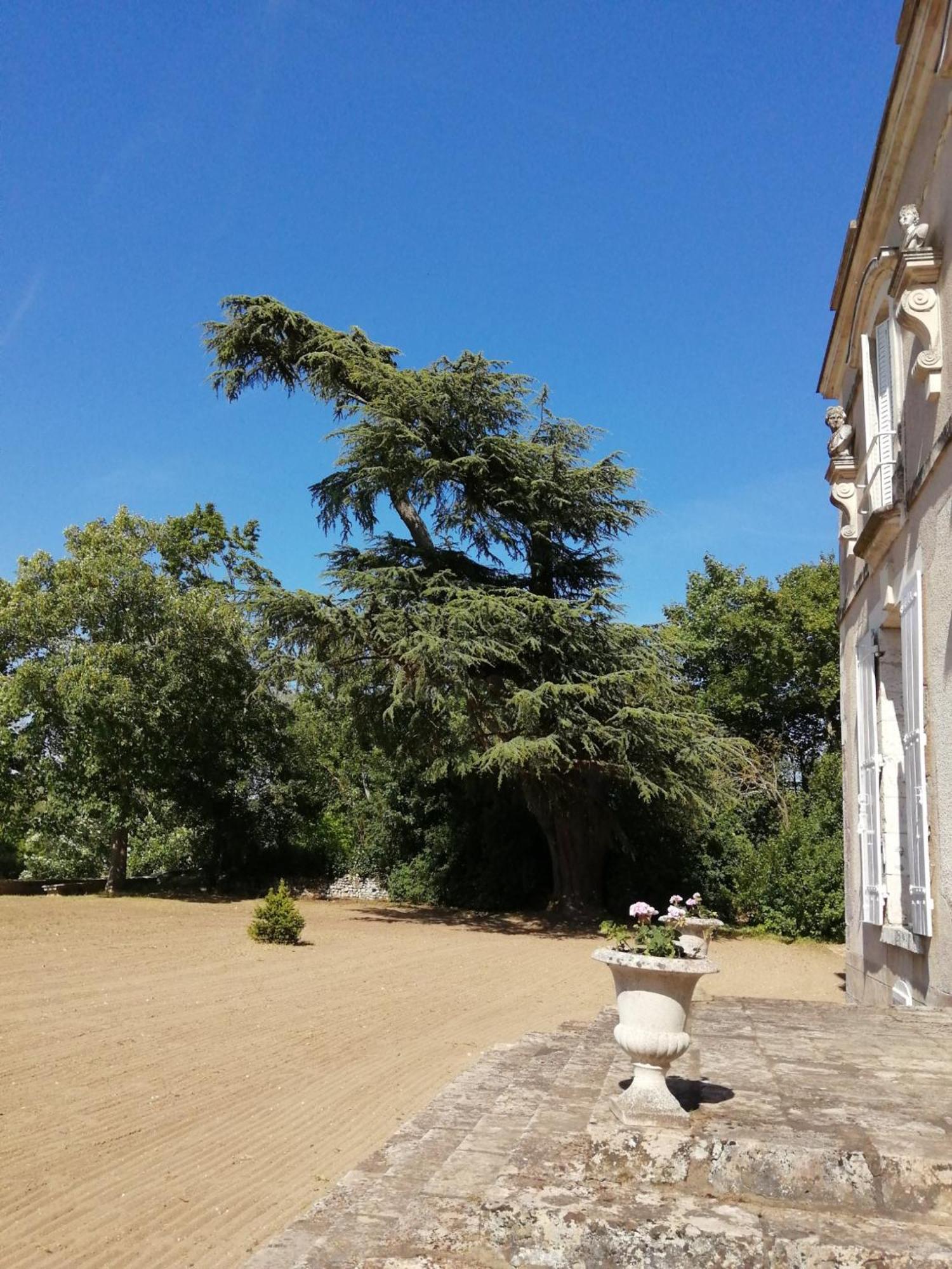 Chateau De Colliers Muides-sur-Loire Pokoj fotografie